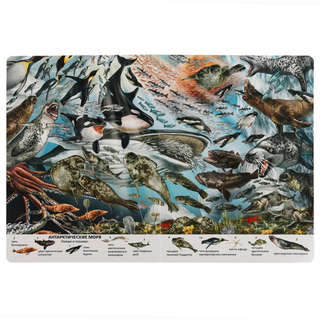 Виммельбух Подводный мир, Найди и покажи 2