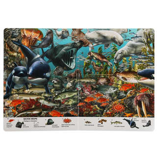 Виммельбух Подводный мир, Найди и покажи 3