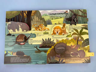 Удивительные животные, Книга-театр 4