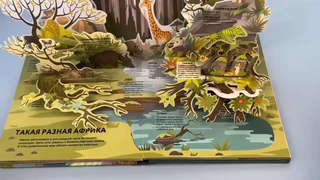 Удивительные животные, Книга-театр 6