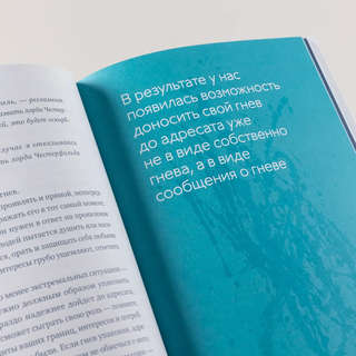 Меня всё бесит! Как преобразовать гнев в созидательную энергию 10
