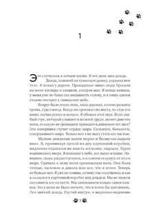 Она и ее кот 2