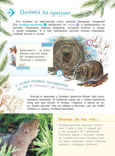 Энциклопедия для мальчиков и девочек: Наша природа 10