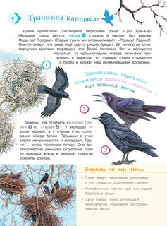 Энциклопедия для мальчиков и девочек: Наша природа 6