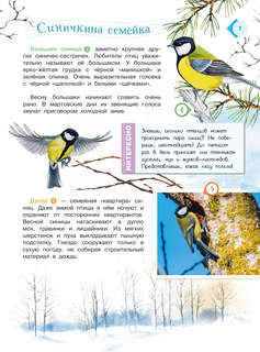 Энциклопедия для мальчиков и девочек: Наша природа 7