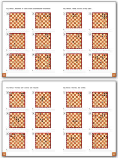 Шахматная школа, Первый год обучения, Сборник заданий 4