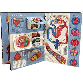 Знакомься: твое тело, Детская интерактивная энциклопедия про тело человека 6