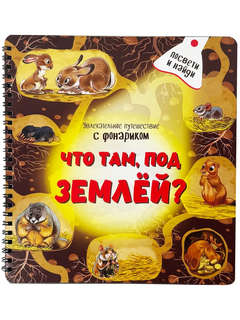 Что там, под Землёй? Виммельмух с фонариком