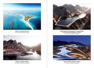 Саудовская Аравия в XXI веке: революция 30-летних, или цунами модернизации 3