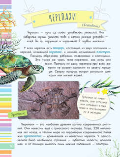 Змеи, ящерицы, черепахи: Моя первая энциклопедия природы 10