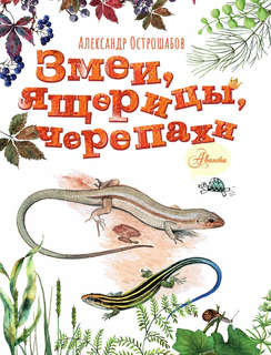 Змеи, ящерицы, черепахи: Моя первая энциклопедия природы 2