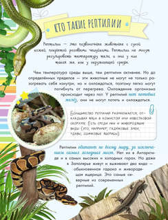 Змеи, ящерицы, черепахи: Моя первая энциклопедия природы 11