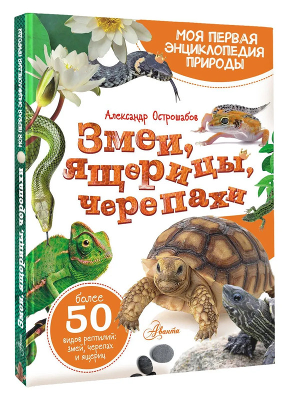 Змеи, ящерицы, черепахи: Моя первая энциклопедия природы