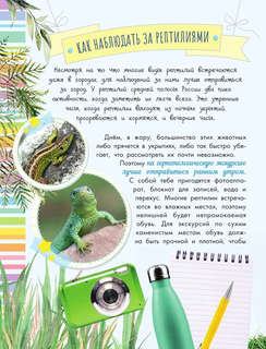 Змеи, ящерицы, черепахи: Моя первая энциклопедия природы 6