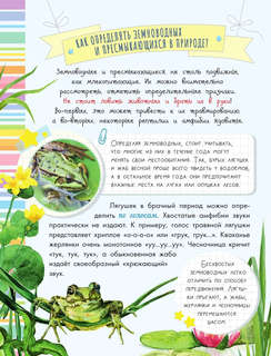 Такие разные животные: Моя первая энциклопедия природы 7