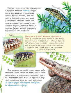 Такие разные животные: Моя первая энциклопедия природы 8