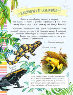 Такие разные животные: Моя первая энциклопедия природы 9