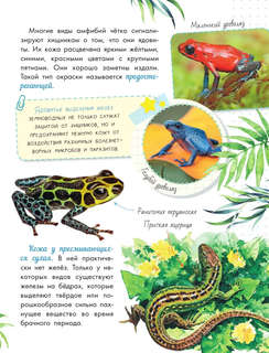 Такие разные животные: Моя первая энциклопедия природы 10