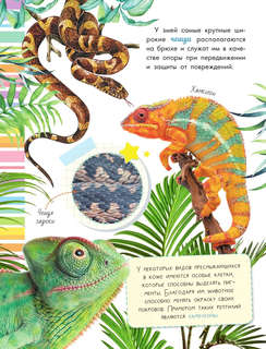 Такие разные животные: Моя первая энциклопедия природы 11