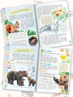 Такие разные животные: Моя первая энциклопедия природы 3