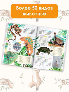 Такие разные животные: Моя первая энциклопедия природы 4