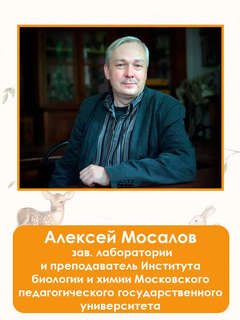 Такие разные животные: Моя первая энциклопедия природы 12