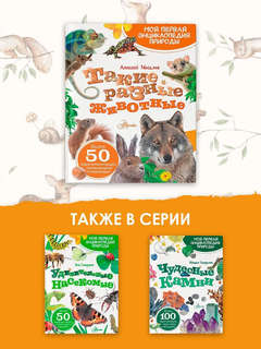 Такие разные животные: Моя первая энциклопедия природы 13
