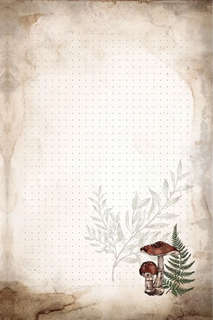 Волшебный блокнот Bruk.herbs (черный) 3