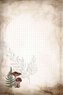 Волшебный блокнот Bruk.herbs (светлый) 3