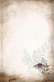 Волшебный блокнот Bruk.herbs (светлый) 6