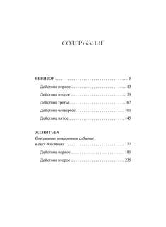 Ревизор. Вечные истории, Young Adult 3