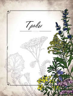 Тайны и магия растений: Путеводитель по миру трав и деревьев 6