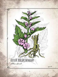 Тайны и магия растений: Путеводитель по миру трав и деревьев 7