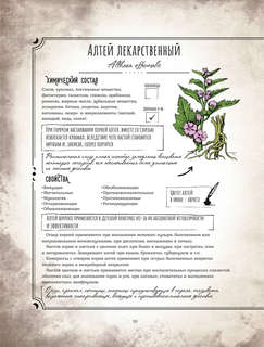 Тайны и магия растений: Путеводитель по миру трав и деревьев 9