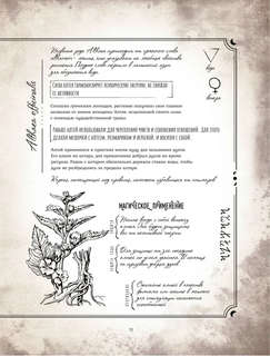 Тайны и магия растений: Путеводитель по миру трав и деревьев 10