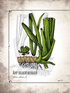 Тайны и магия растений: Путеводитель по миру трав и деревьев 11