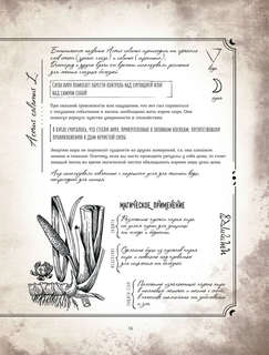 Тайны и магия растений: Путеводитель по миру трав и деревьев 14