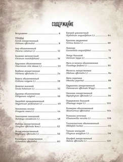 Тайны и магия растений: Путеводитель по миру трав и деревьев 3