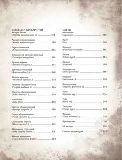 Тайны и магия растений: Путеводитель по миру трав и деревьев 4