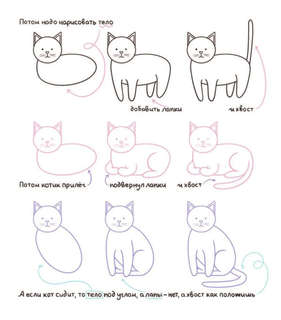 Котоляндия: самая пушистая раскраска с заданиями внутри 6