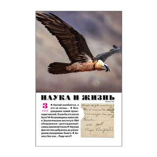 Наука и жизнь №3 (март 2025)