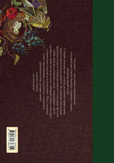 Книга наших семейных традиций 2