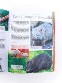 Большая красная книга: 1001 фотография 12