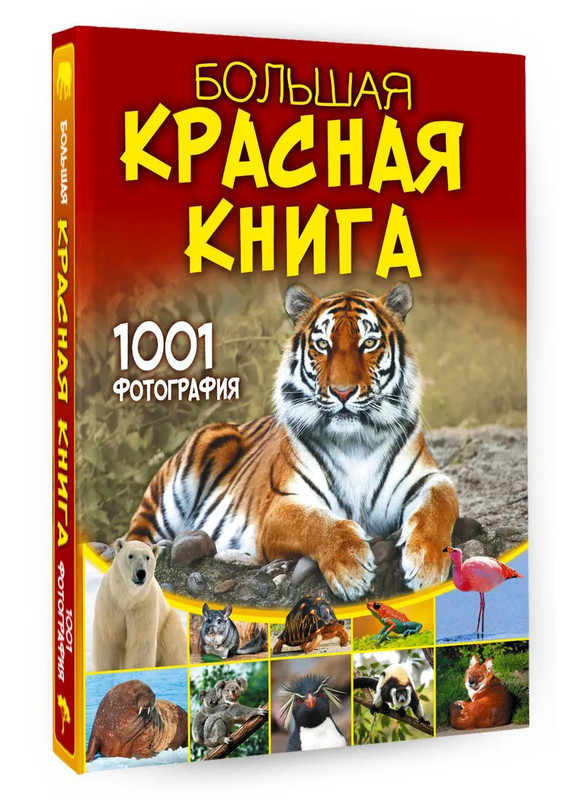 Большая красная книга: 1001 фотография