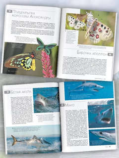 Большая красная книга: 1001 фотография 4