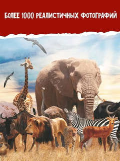 Большая красная книга: 1001 фотография 3