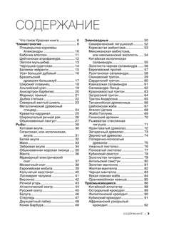 Большая красная книга: 1001 фотография 5