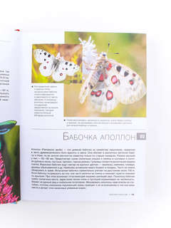 Большая красная книга: 1001 фотография 8