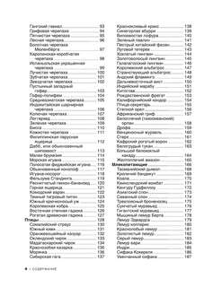 Большая красная книга: 1001 фотография 6