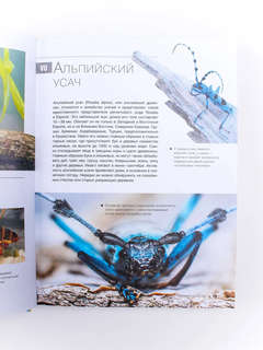 Большая красная книга: 1001 фотография 9